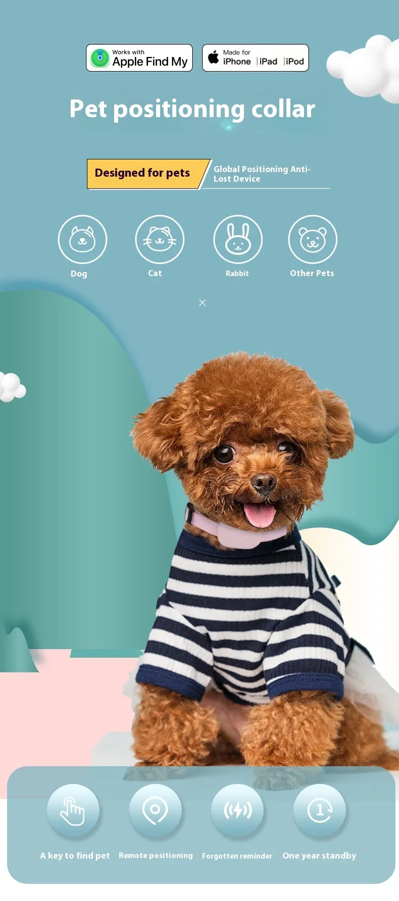 Pet positioning collar designed for dogs, cats, rabbits and small companions